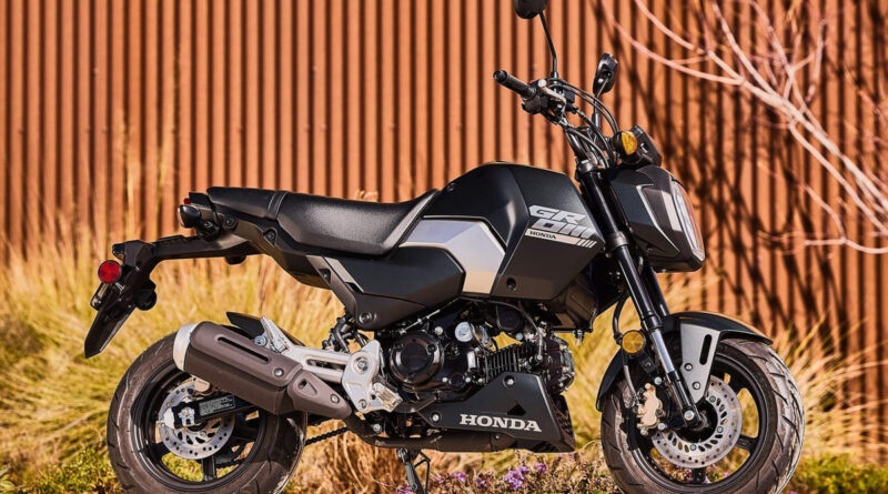 honda msx125 grom